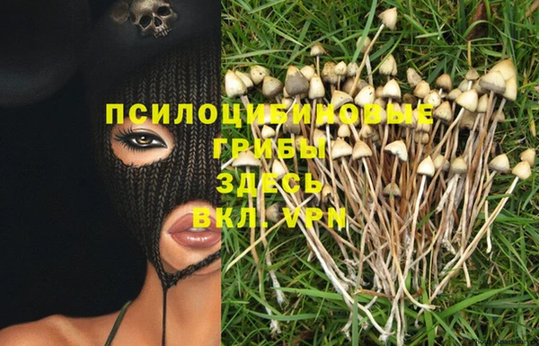 mix Арсеньев