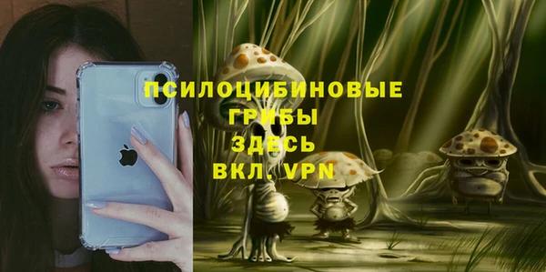 mix Арсеньев