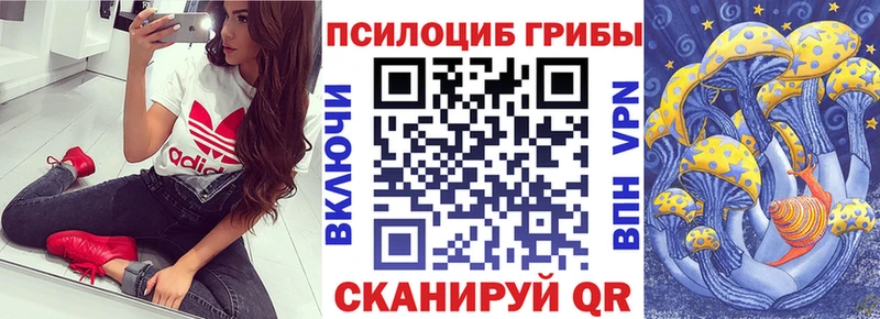 Псилоцибиновые грибы Magic Shrooms  ссылка на мегу вход  Геленджик 